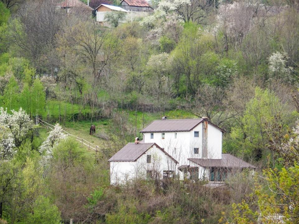 Casa Piscul Lupului Villa Pucioasa Eksteriør billede