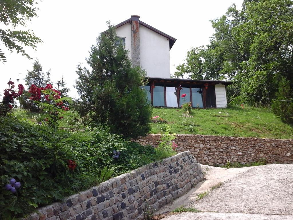 Casa Piscul Lupului Villa Pucioasa Eksteriør billede
