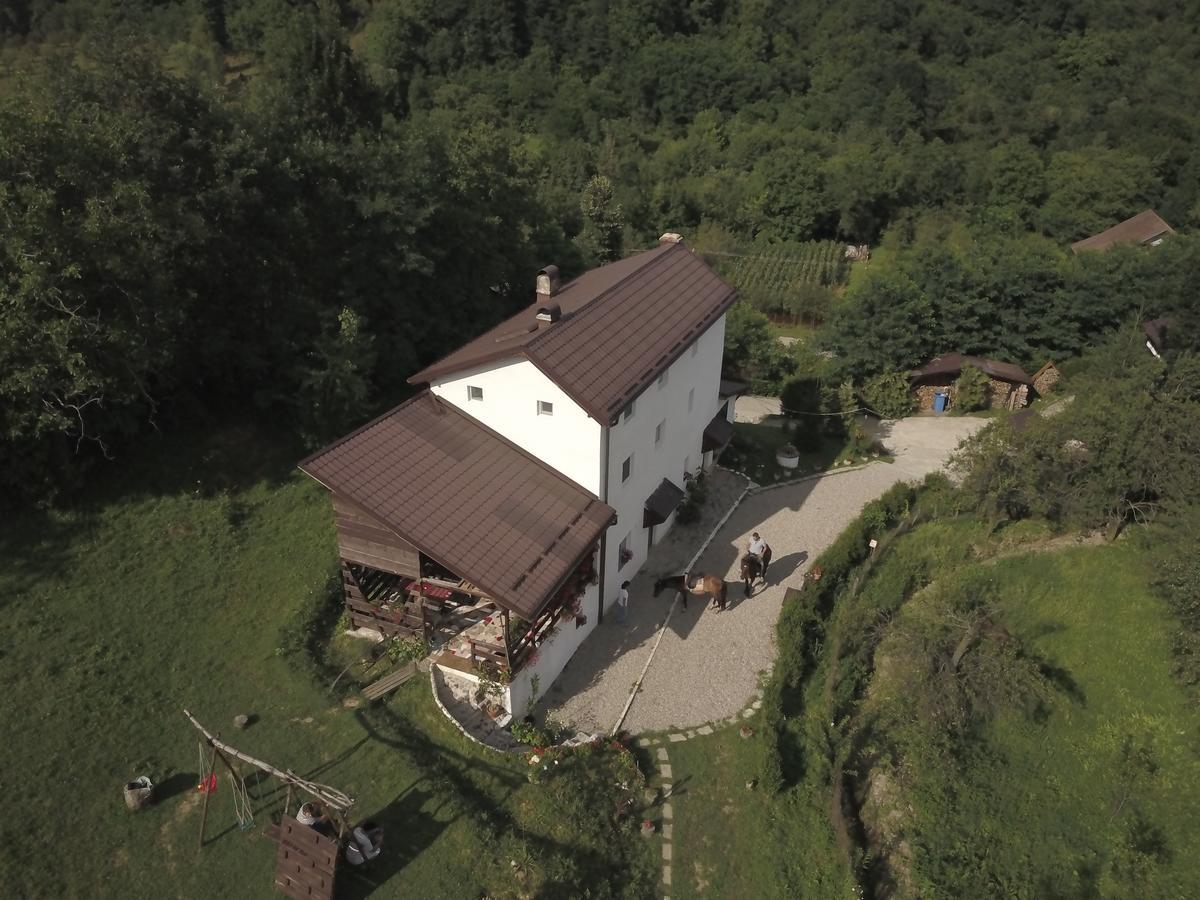 Casa Piscul Lupului Villa Pucioasa Eksteriør billede